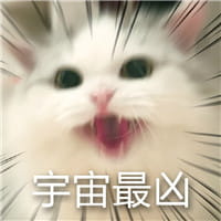 猫咪超凶 世界最凶的猫咪表情包