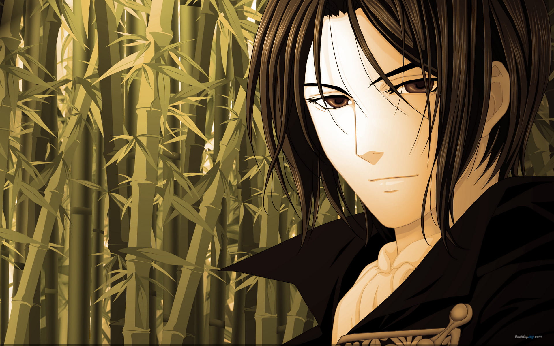 薄樱鬼 动漫电脑壁纸桌面下载(1)