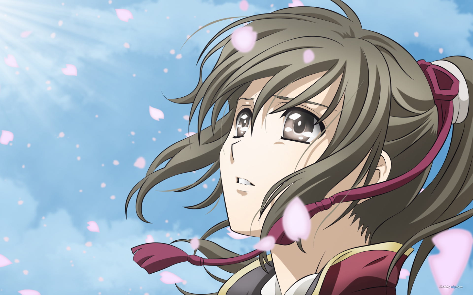 薄樱鬼 动漫电脑壁纸桌面下载(1)