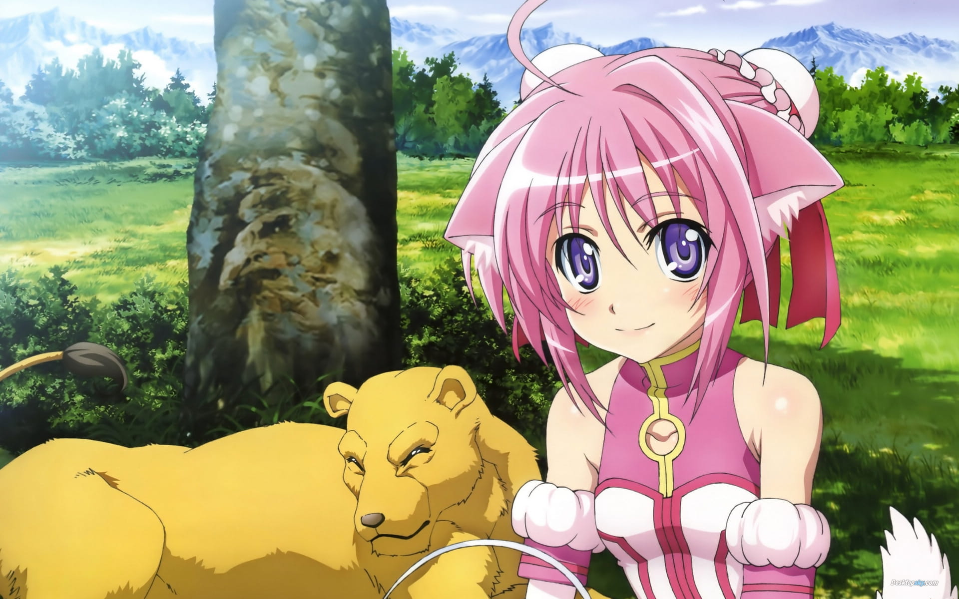 DOG DAYS 动漫电脑壁纸高清桌面下载(1)