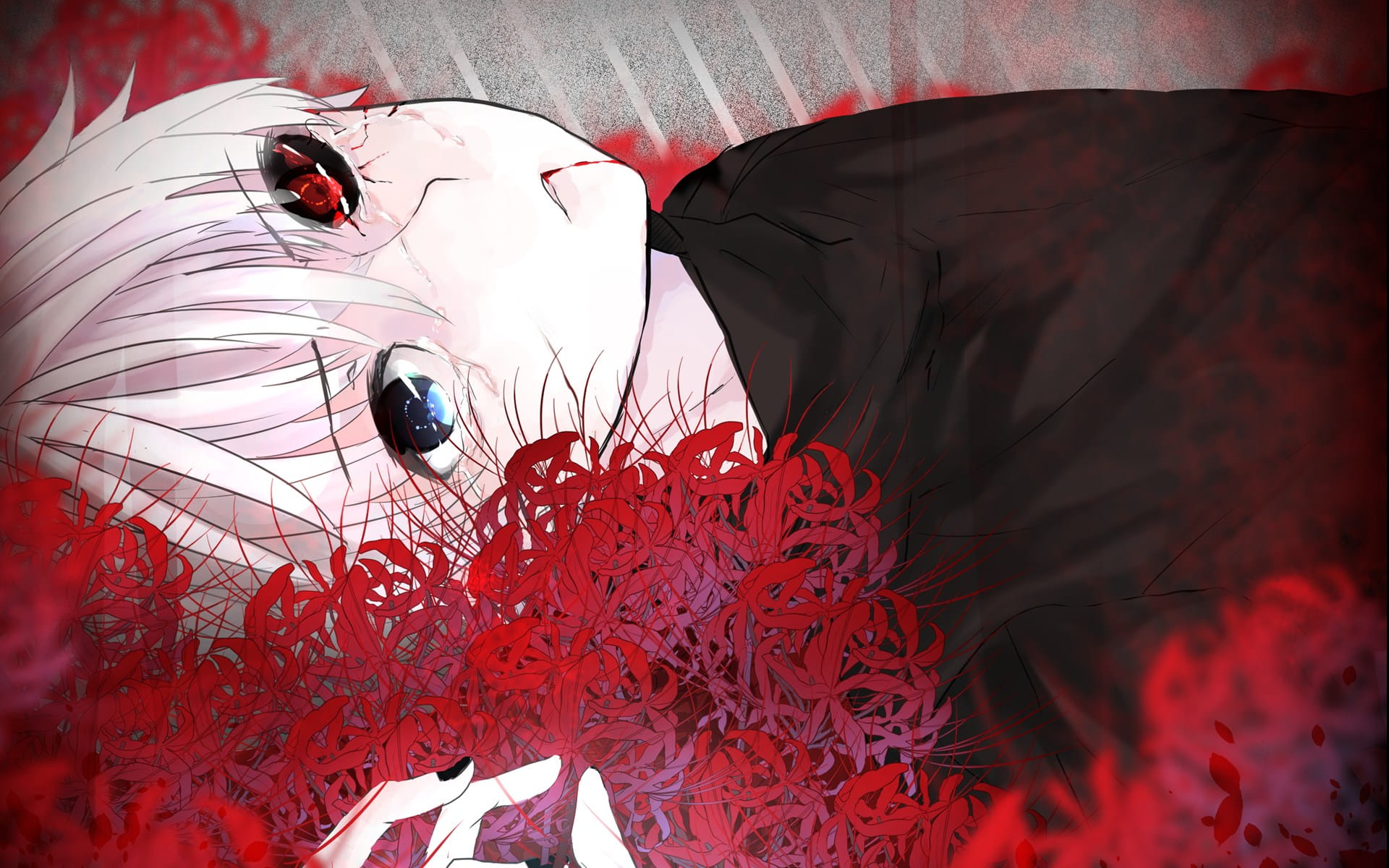 2017.3.10一周动漫壁纸精选第10期(1)