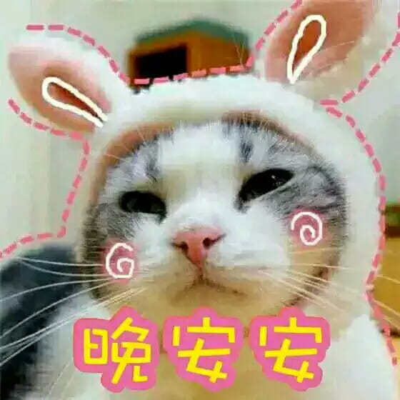 超可爱猫咪系列表情包 撒个娇萌死你