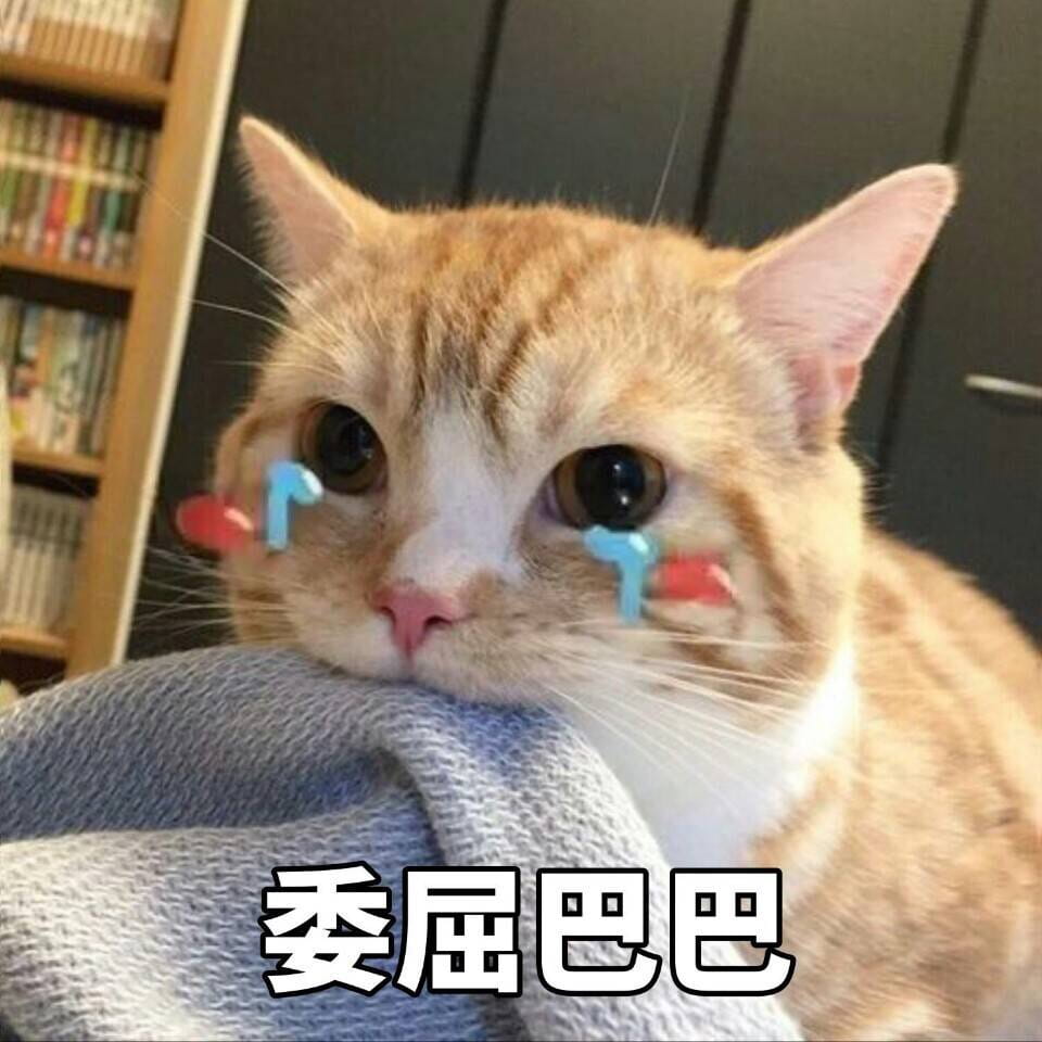 超可爱猫咪系列表情包 撒个娇萌死你