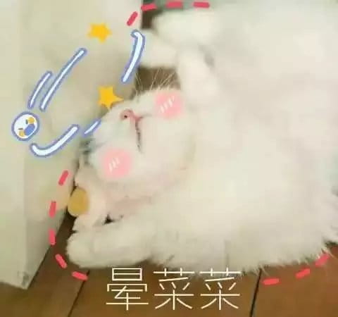超可爱猫咪系列表情包 撒个娇萌死你