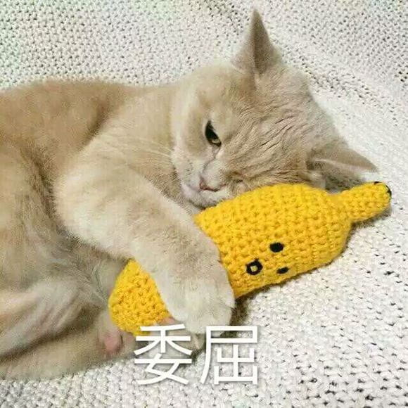 超可爱猫咪系列表情包 撒个娇萌死你