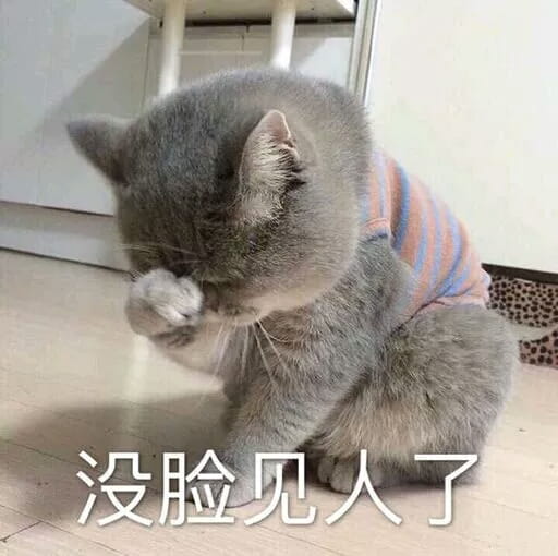 超可爱猫咪系列表情包 撒个娇萌死你