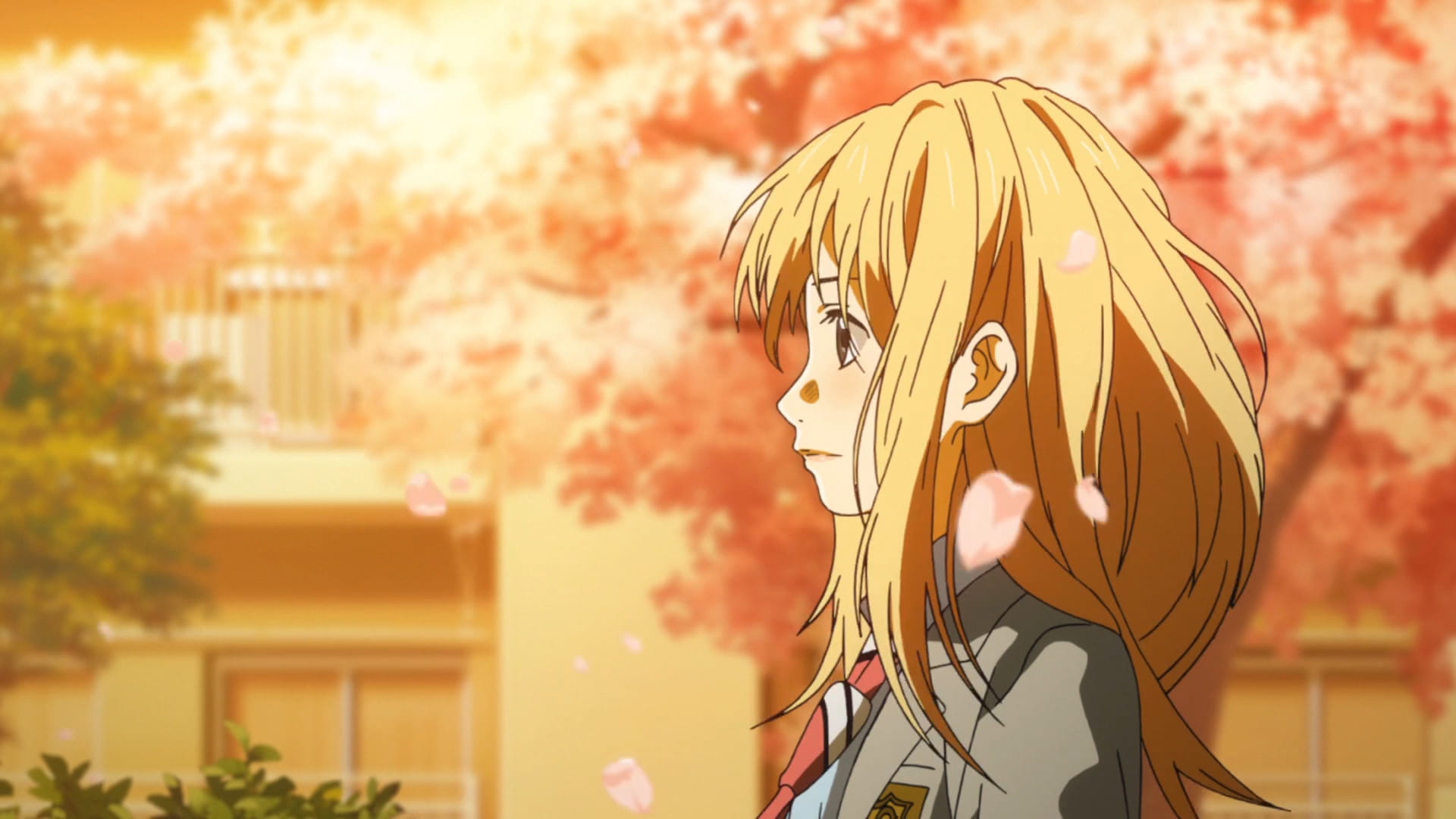 没有你的四月 马上就要来了 四月是你的谎言电脑壁纸下载(1)