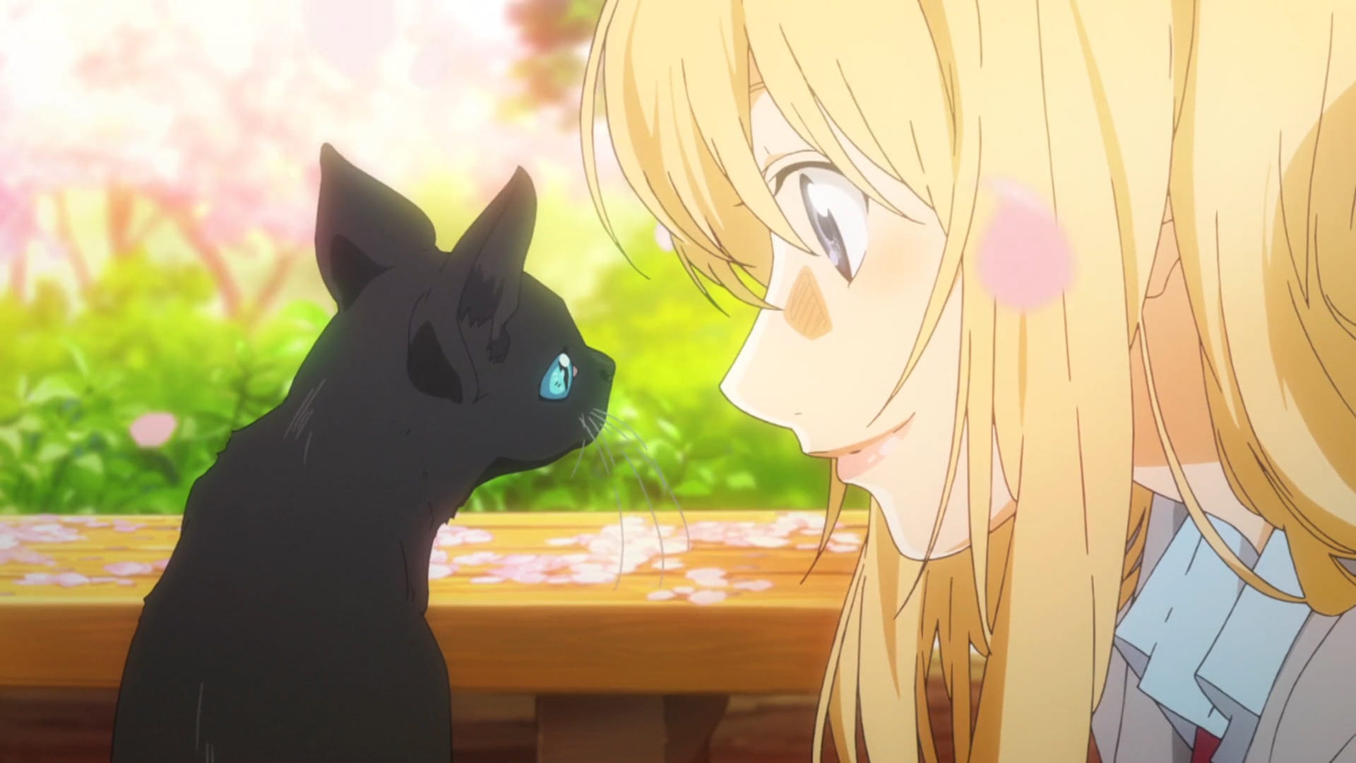 没有你的四月 马上就要来了 四月是你的谎言电脑壁纸下载(1)