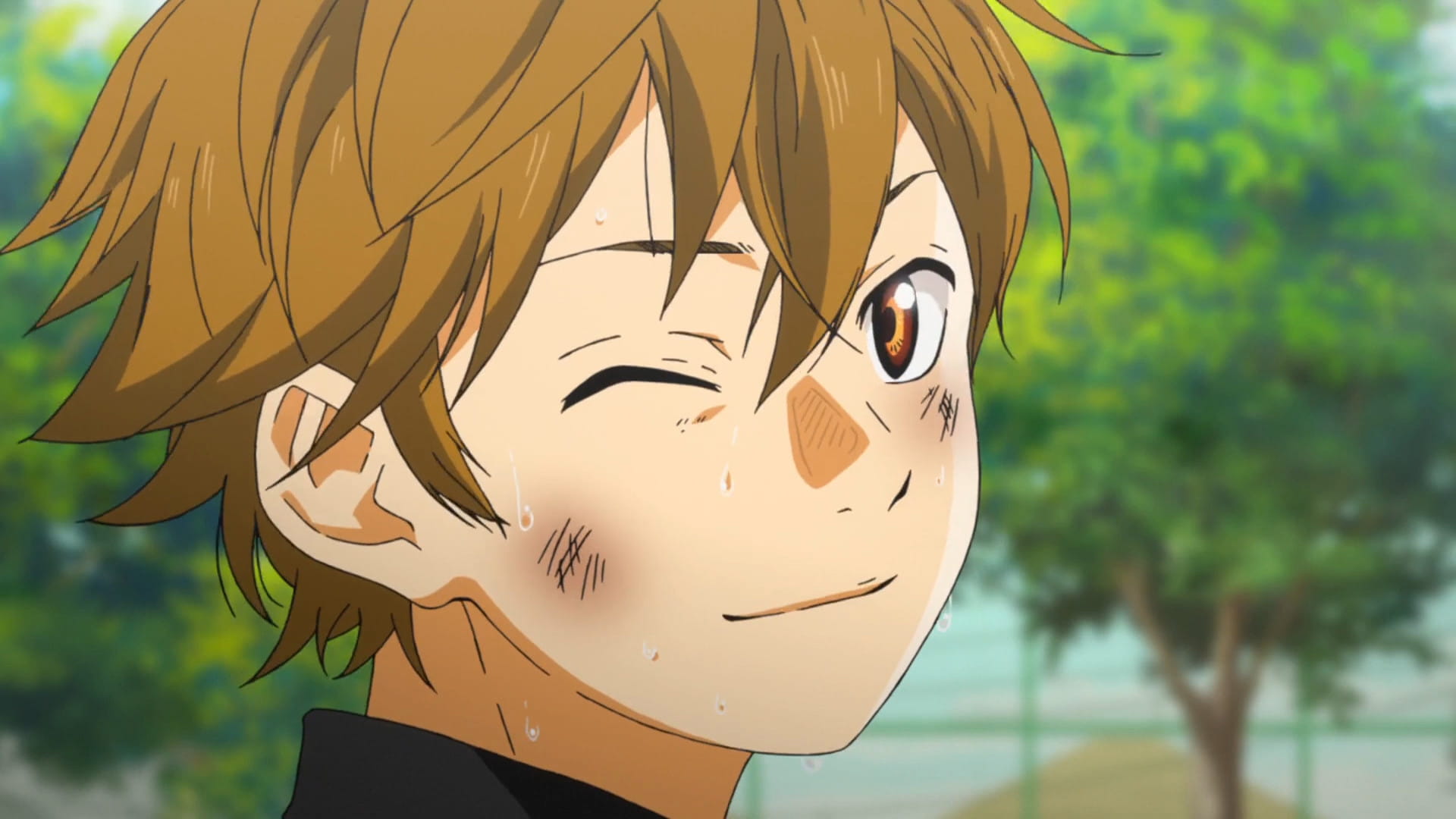 没有你的四月 马上就要来了 四月是你的谎言电脑壁纸下载(1)