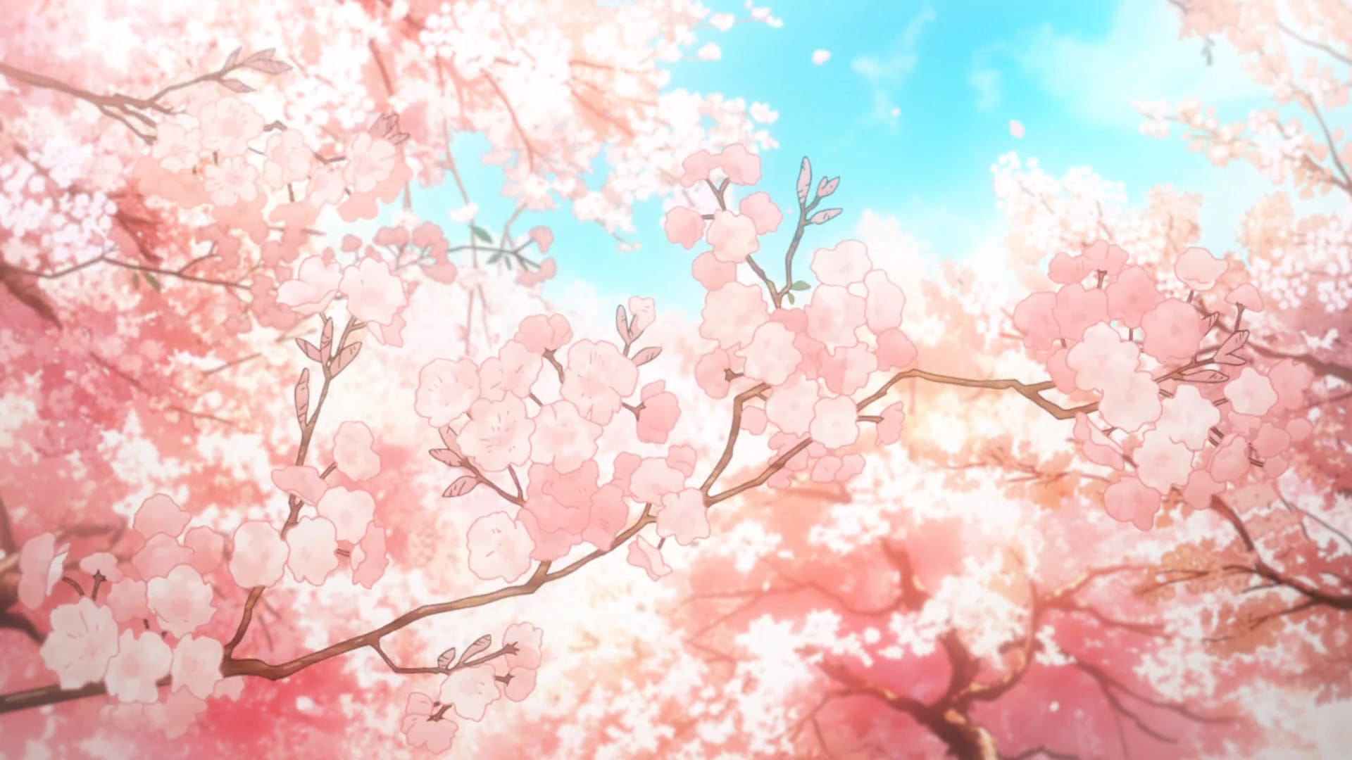 没有你的四月 马上就要来了 四月是你的谎言电脑壁纸下载(1)