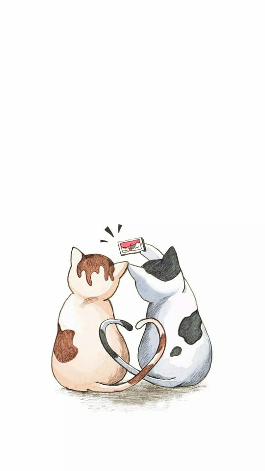 猫咪超可爱 喵星人手机壁纸下载(1)