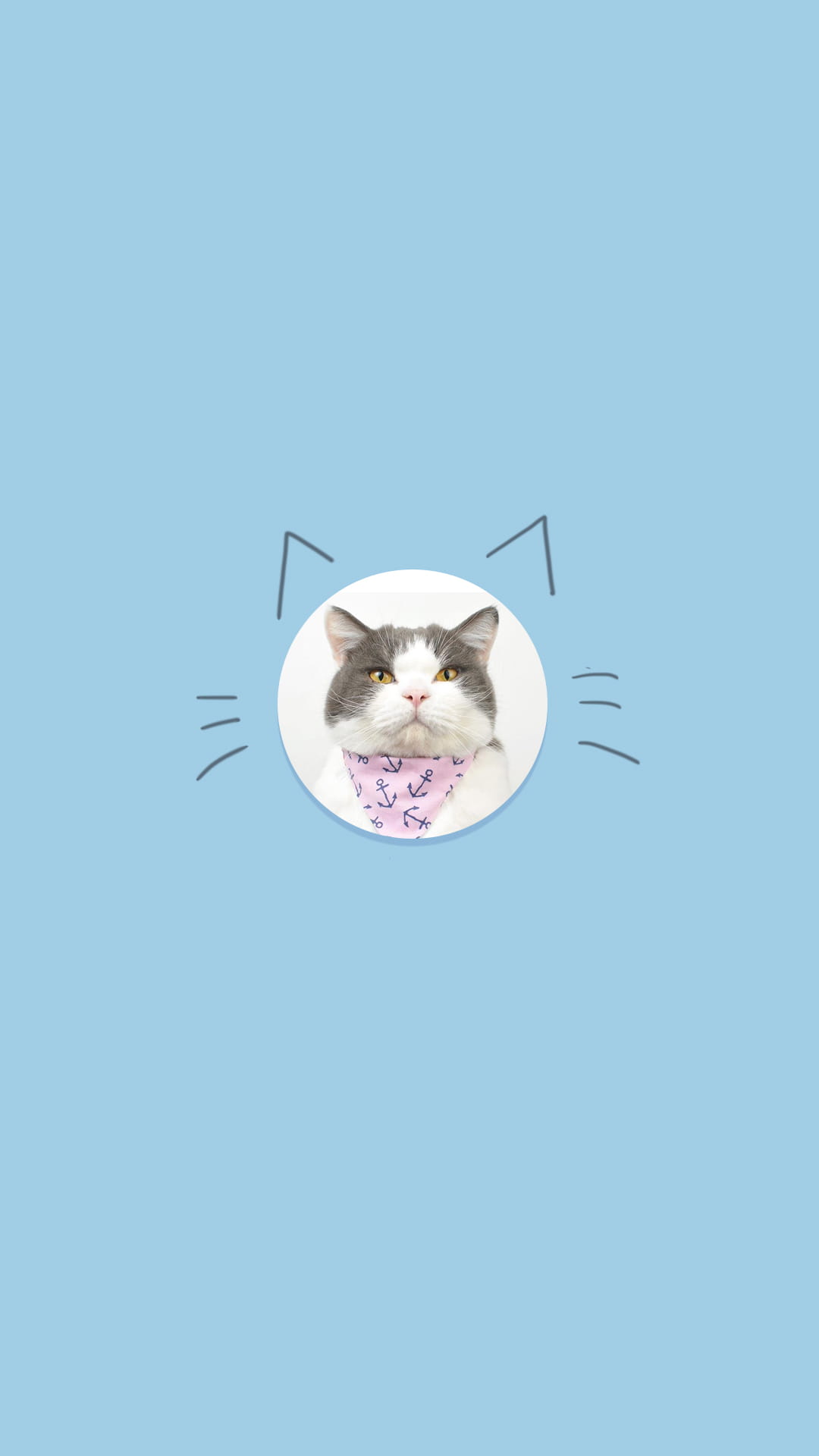 猫咪超可爱 喵星人手机壁纸下载(1)