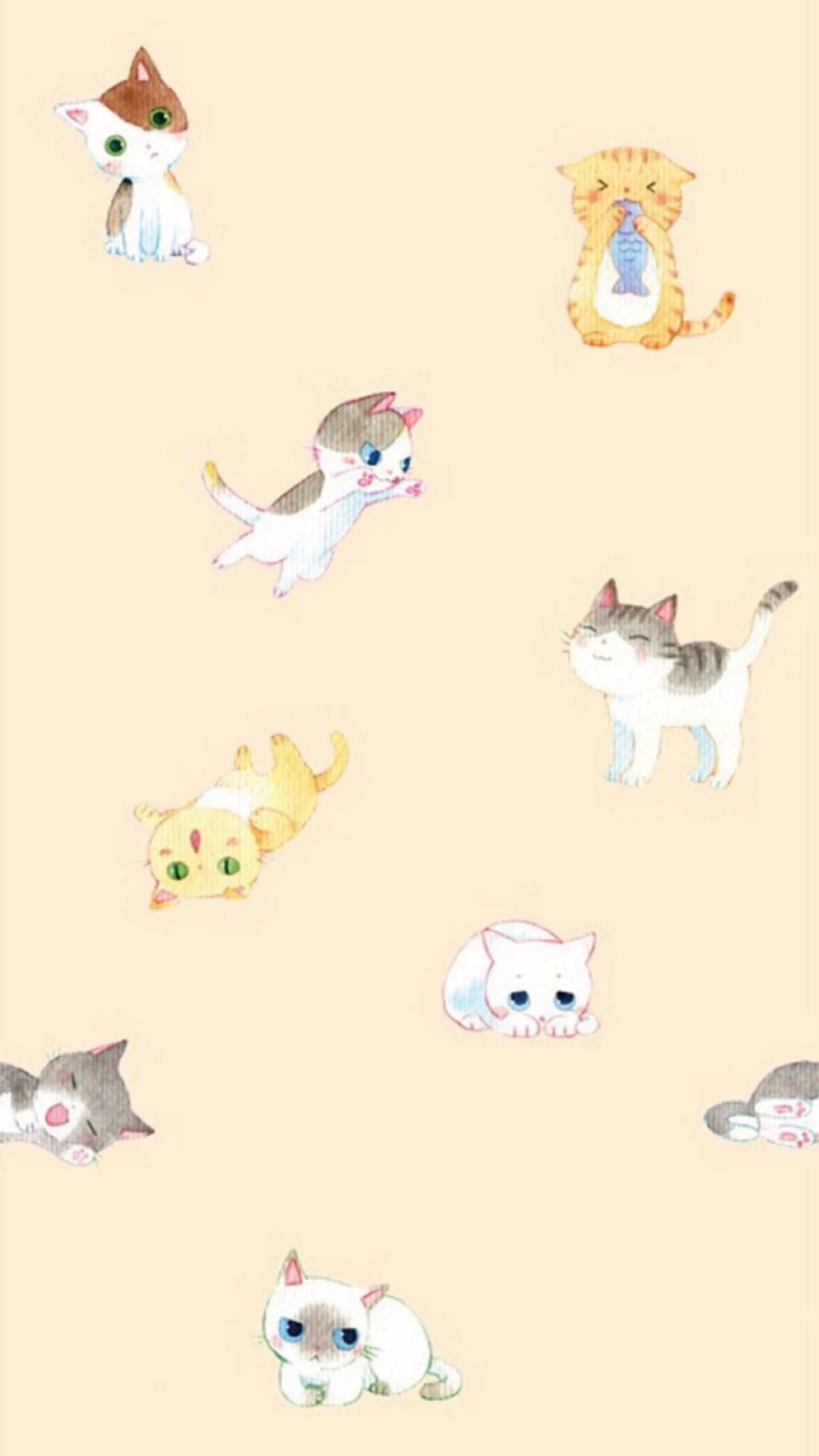 猫咪超可爱 喵星人手机壁纸下载(1)