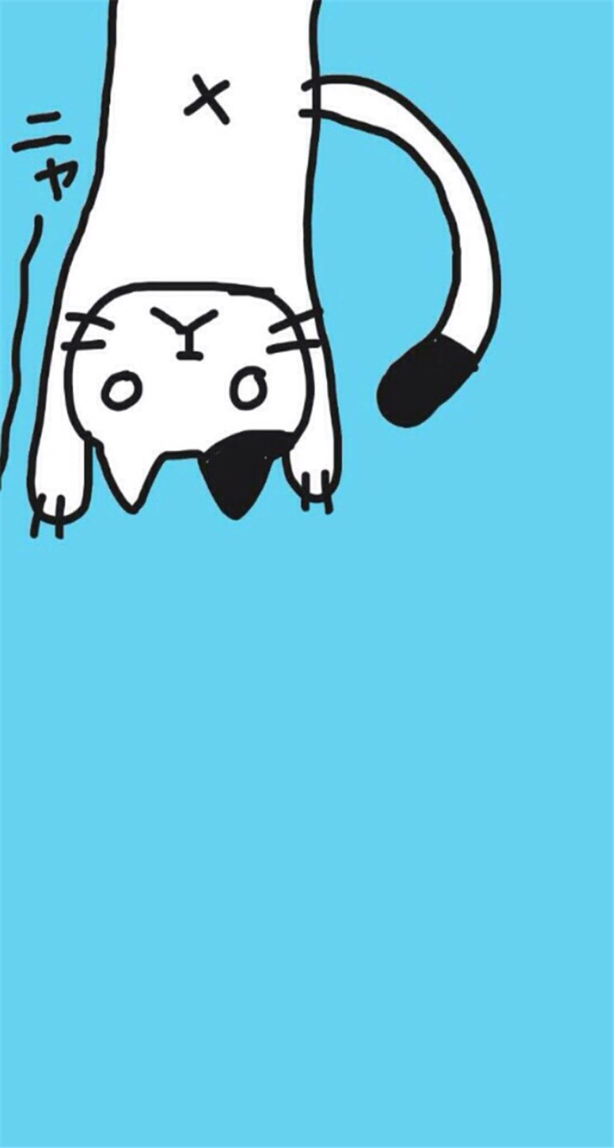 猫咪超可爱 喵星人手机壁纸下载(1)