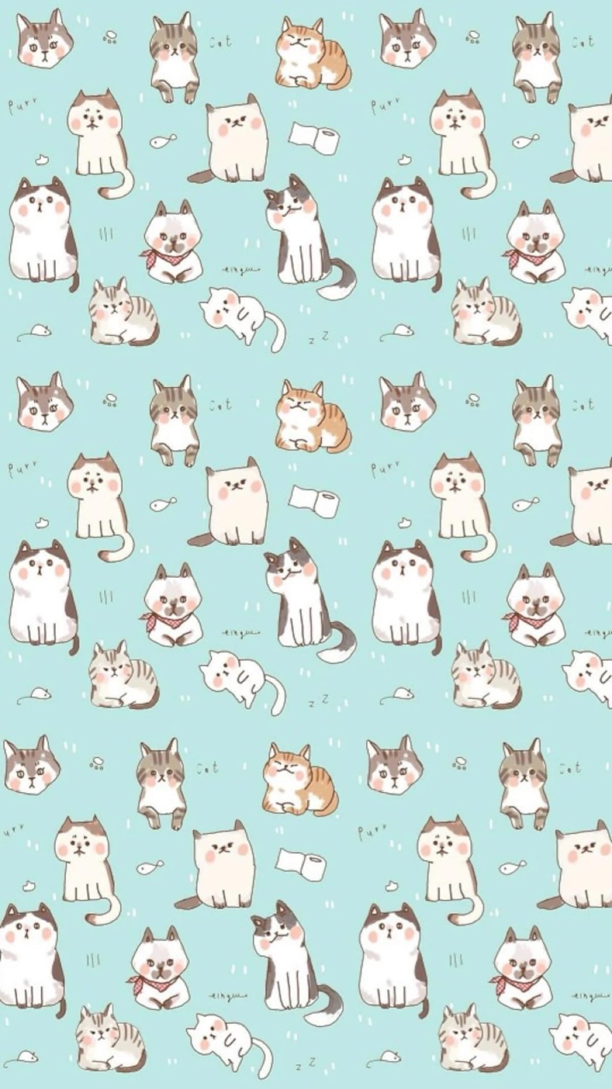 猫咪超可爱 喵星人手机壁纸下载(1)