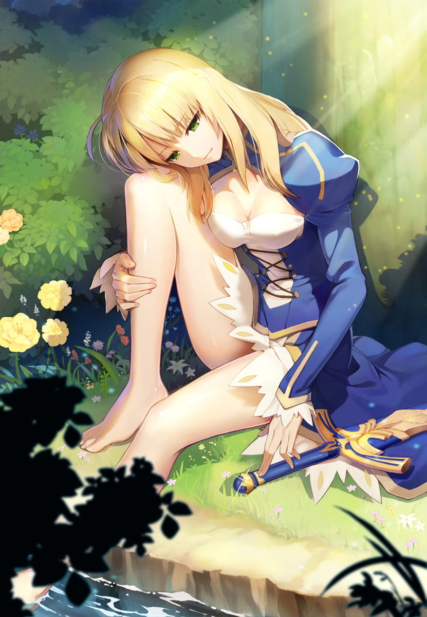 呆毛王 Fate/stay night  saber 手机壁纸下载(1)