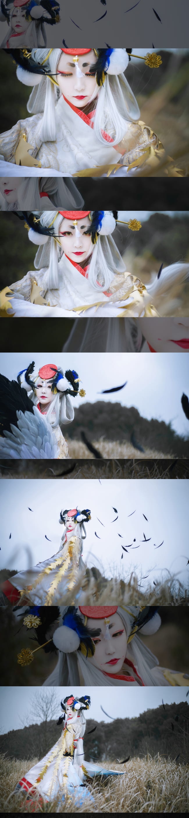 阴阳师姑获鸟 金銮鹤羽皮肤cos