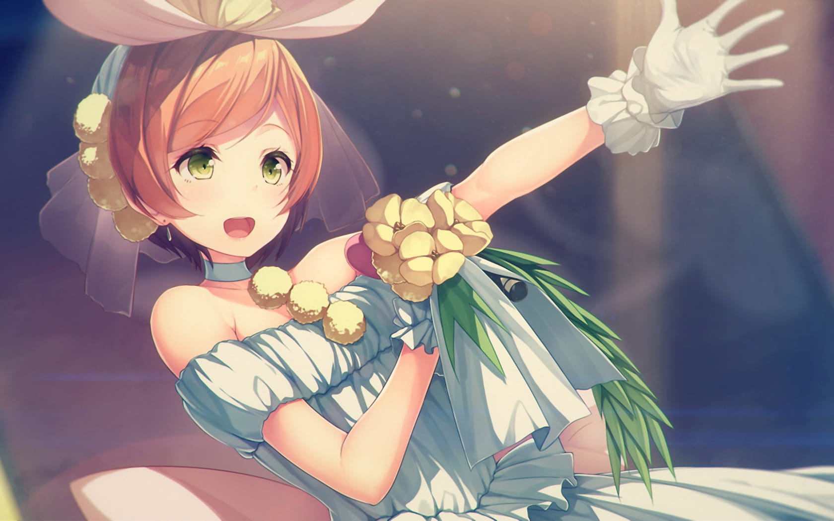 lovelive!凛喵 星空凛动漫电脑壁纸(1)