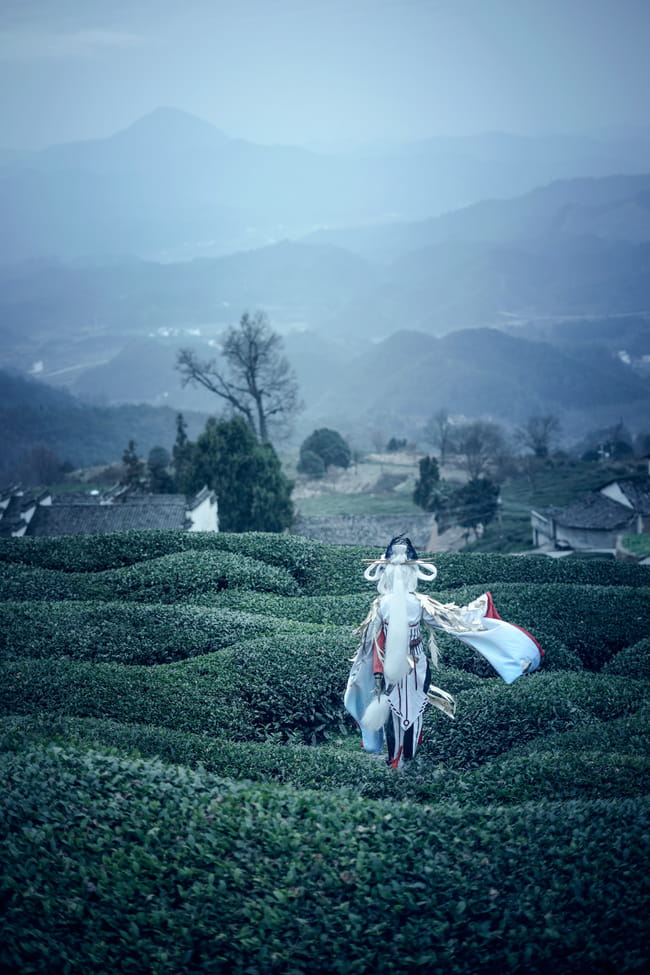 网易手游阴阳师 姑获鸟 金鸾鹤 cosplay(1)