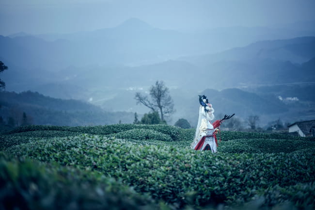 网易手游阴阳师 姑获鸟 金鸾鹤 cosplay(1)