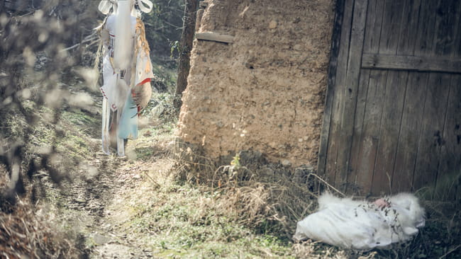 网易手游阴阳师 姑获鸟 金鸾鹤 cosplay(1)