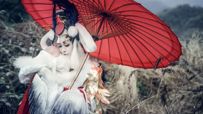 网易手游阴阳师 姑获鸟 金鸾鹤 cosplay(1)