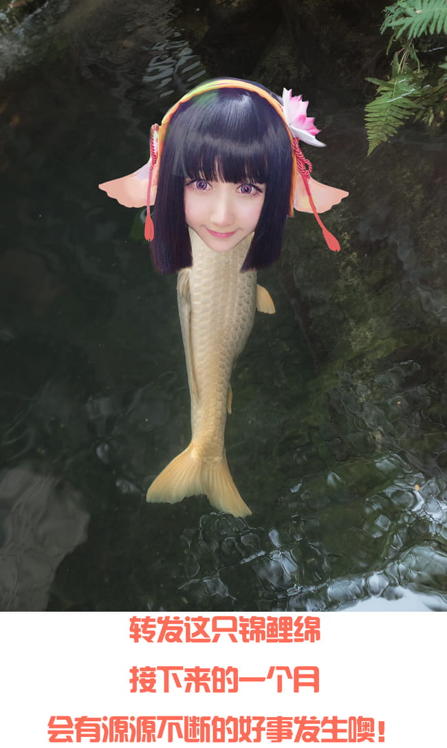 好运锦鲤 网易手游阴阳师 鲤鱼精 超可爱cosplay(1)