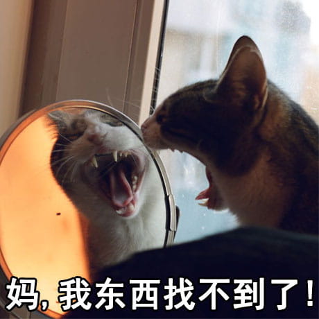 有妈在的日常 猫咪表情包