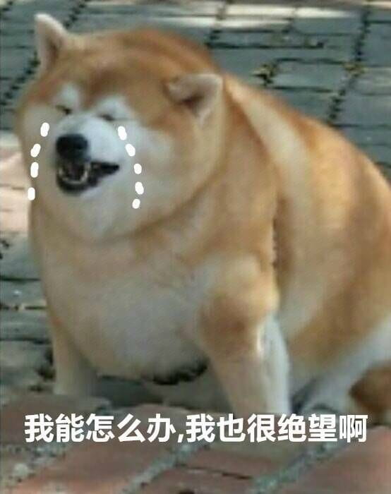 我能怎么样 我也很绝望表情包下载（第二弹）