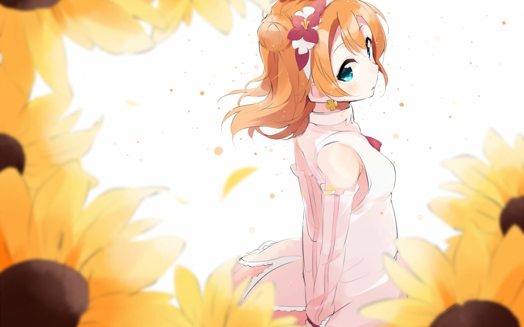 lovelive!蠢萌火龙果 高坂穂乃果电脑壁纸