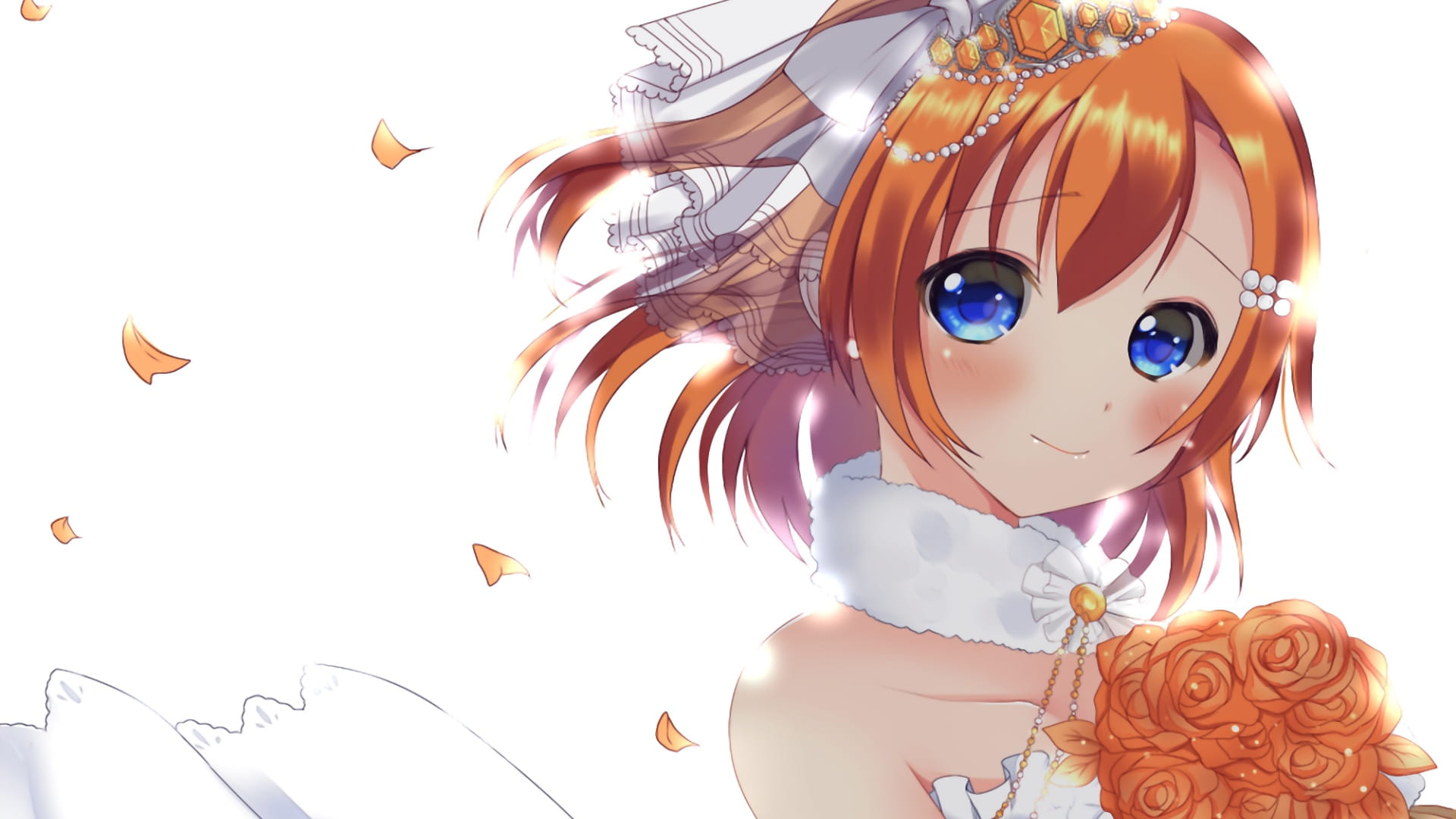 lovelive!蠢萌火龙果 高坂穂乃果电脑壁纸