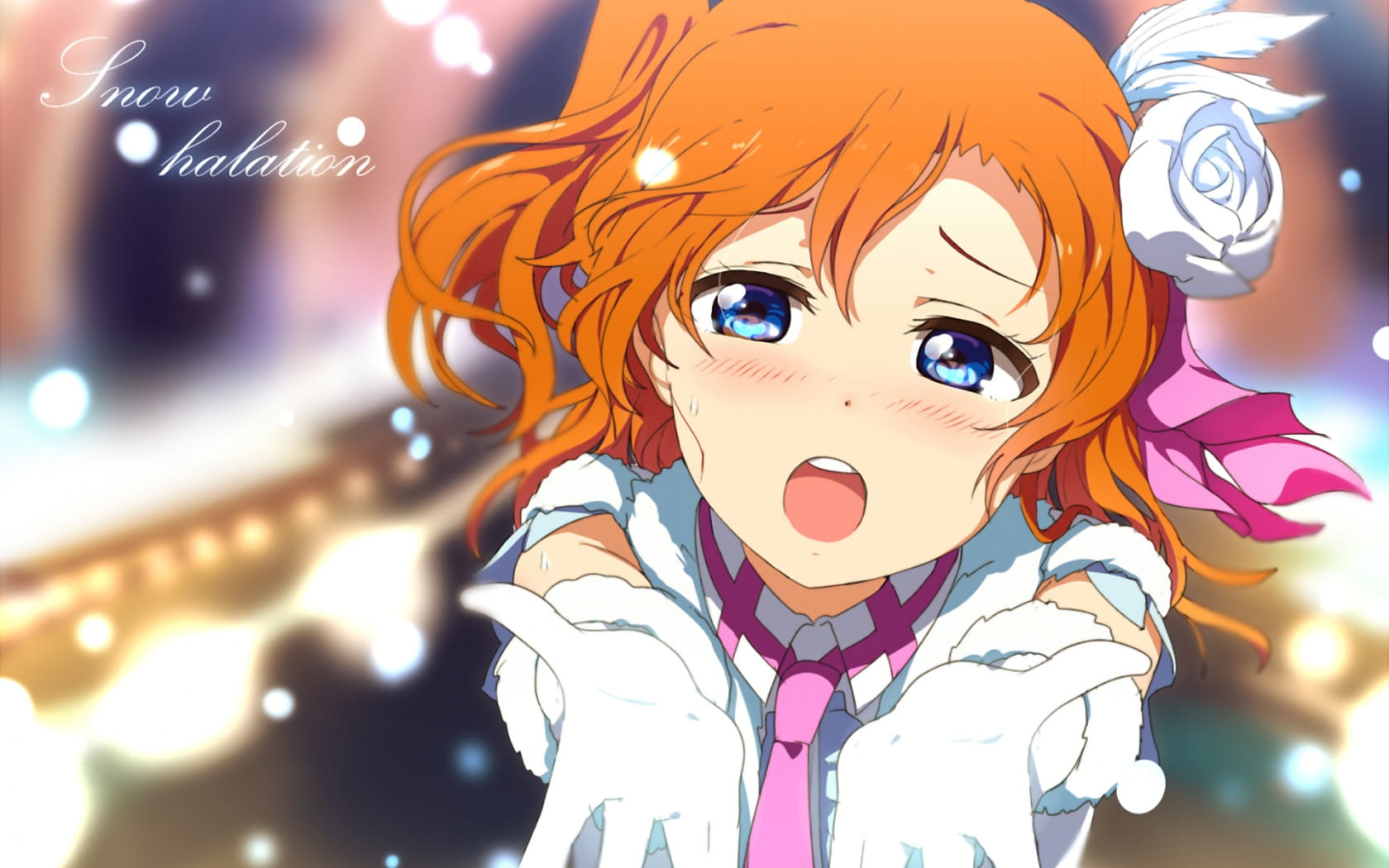 lovelive!蠢萌火龙果 高坂穂乃果电脑壁纸