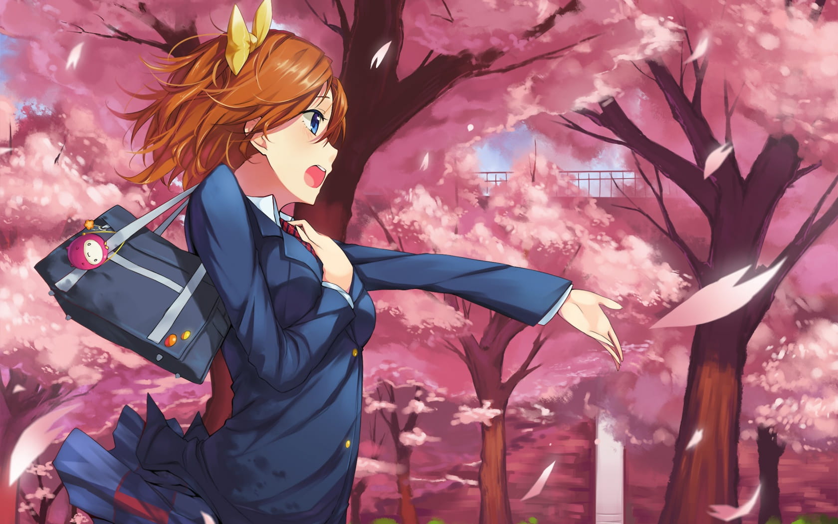 lovelive!蠢萌火龙果 高坂穂乃果电脑壁纸