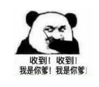 熊猫头开战表情图片大全