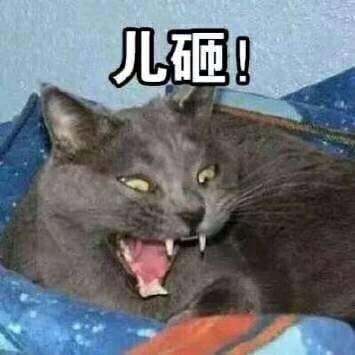 超魔性的呼叫儿砸表情图片