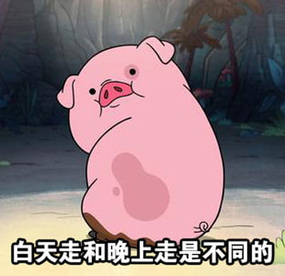 路痴的日常卡通小猪表情包
