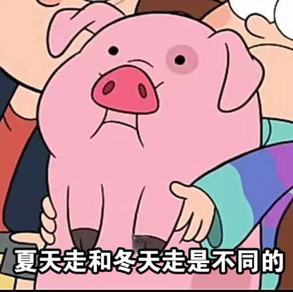 路痴的日常卡通小猪表情包