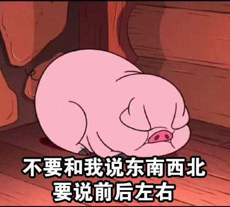 路痴的日常卡通小猪表情包