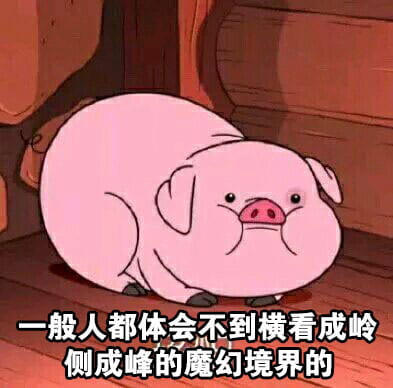 路痴的日常卡通小猪表情包