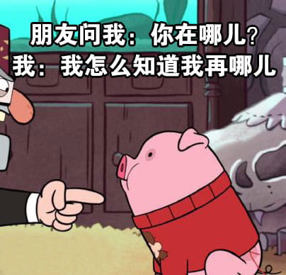 路痴的日常卡通小猪表情包