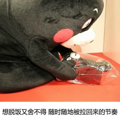 追星饭爱豆是一种怎样的体验表情包