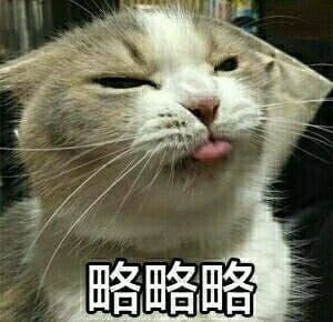 萌宠吐舌头表情包！