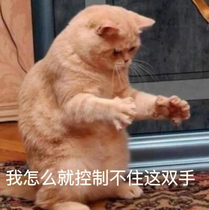 搞怪小猫带字表情图片表情包