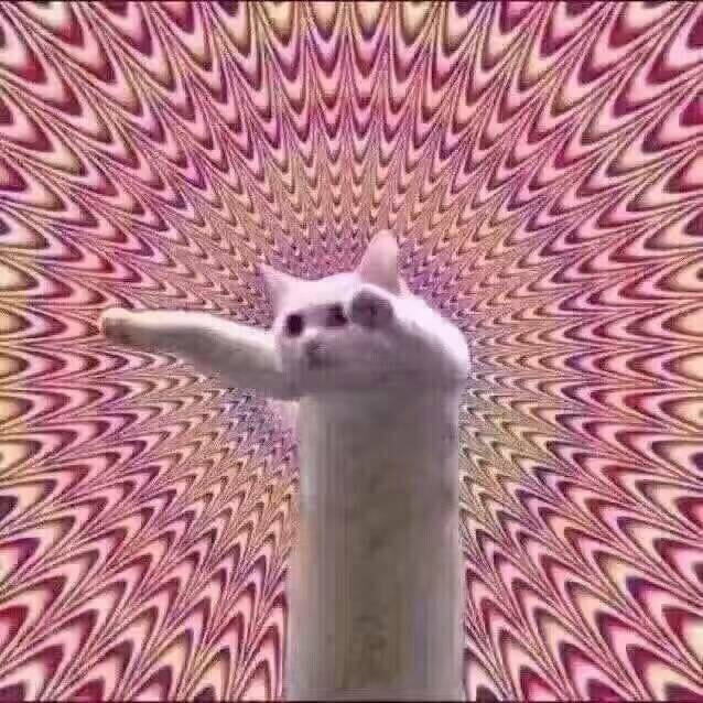 搞怪小猫带字表情图片表情包