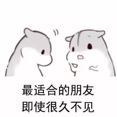 最适合的朋友系列表情包图片