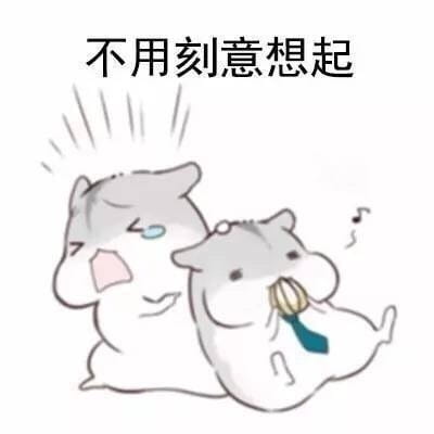 最适合的朋友系列表情包图片