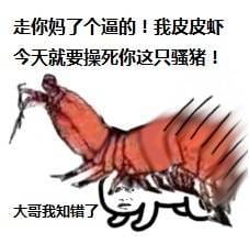 皮皮虾怒了微信表情图片