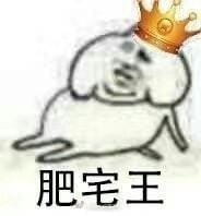 肥宅表情包 肥宅王