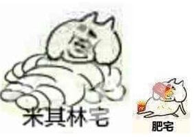 肥宅表情包 肥宅王