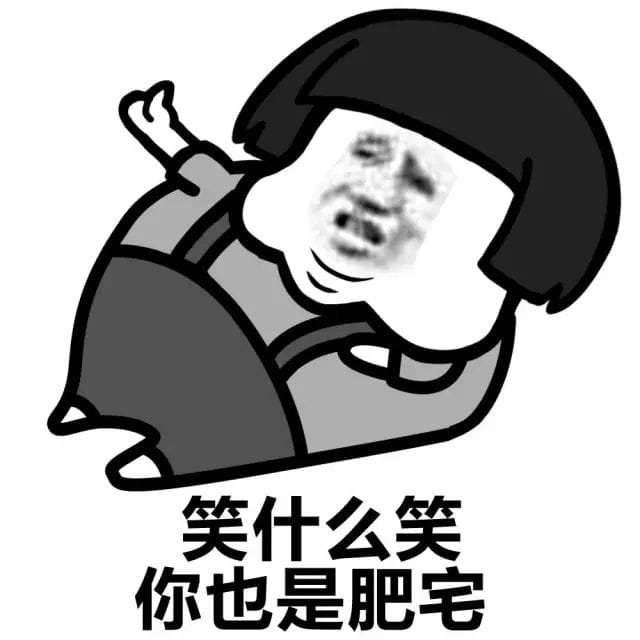 肥宅表情包 肥宅王